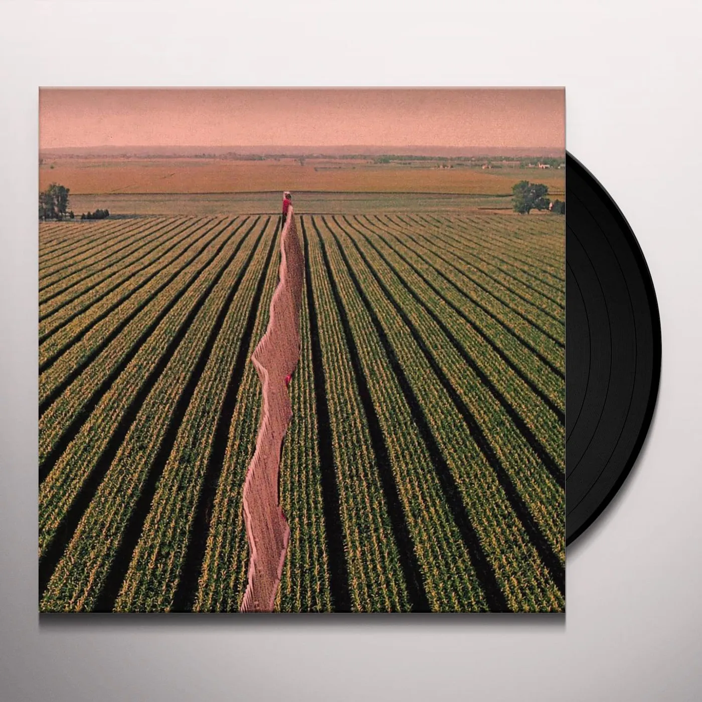 Possible Humans Everybody Split Vinyl Record