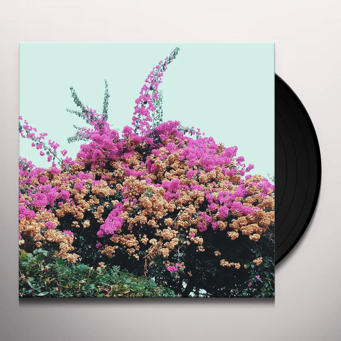 Jay Som Turn Into Vinyl Record
