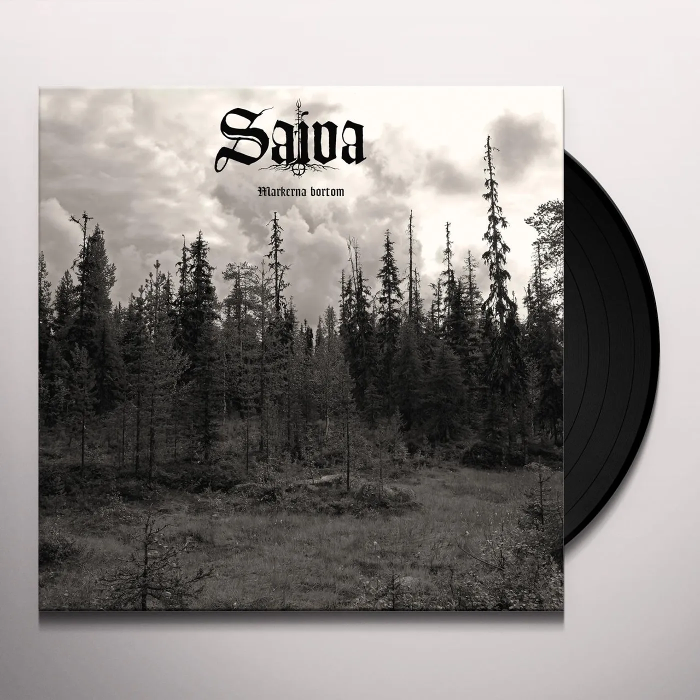 Saiva Markerna bortom Vinyl Record