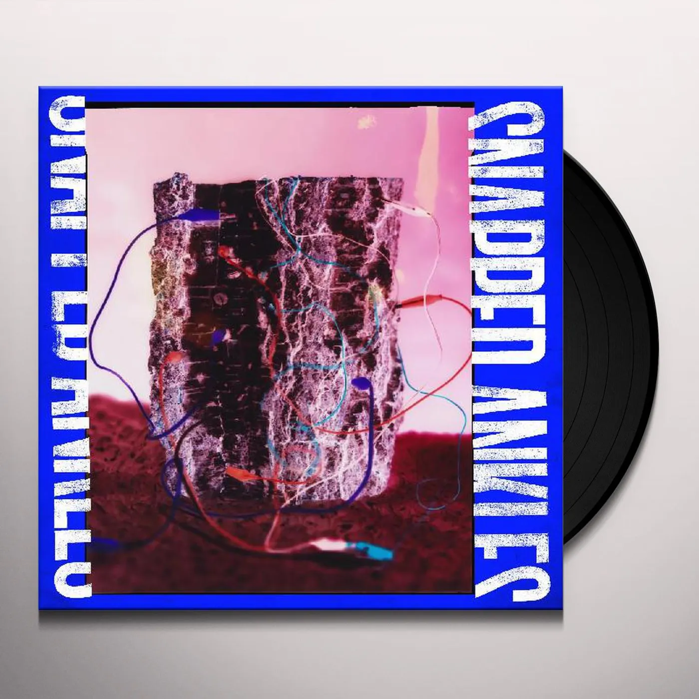 Snapped Ankles Forest Of Your Problems (Protester Editi Vinyl Record