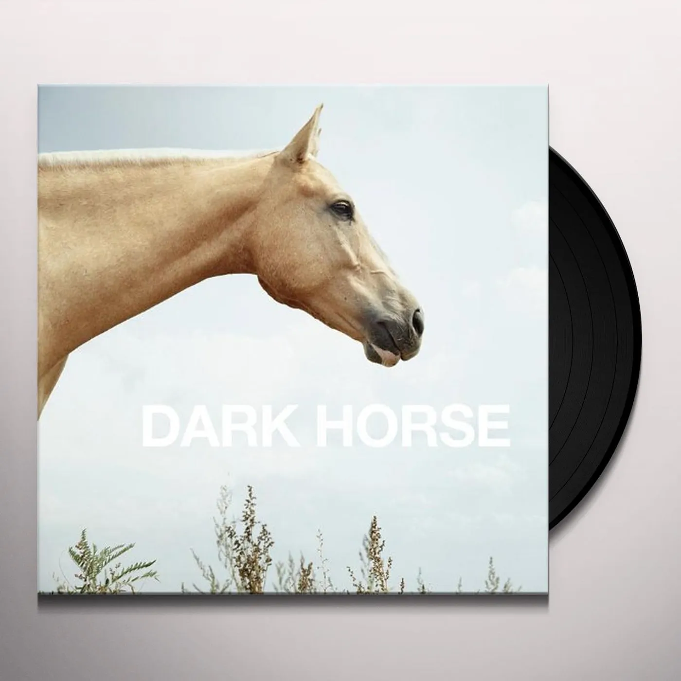 Dark Horse Vinyl Record