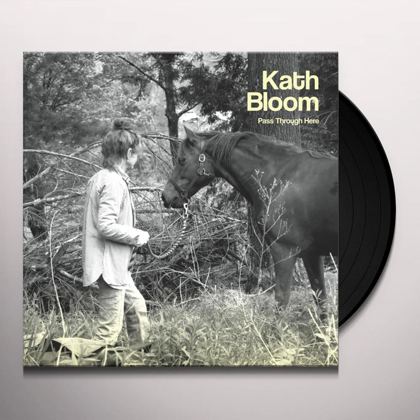 Kath Bloom Pass Through Here Vinyl Record