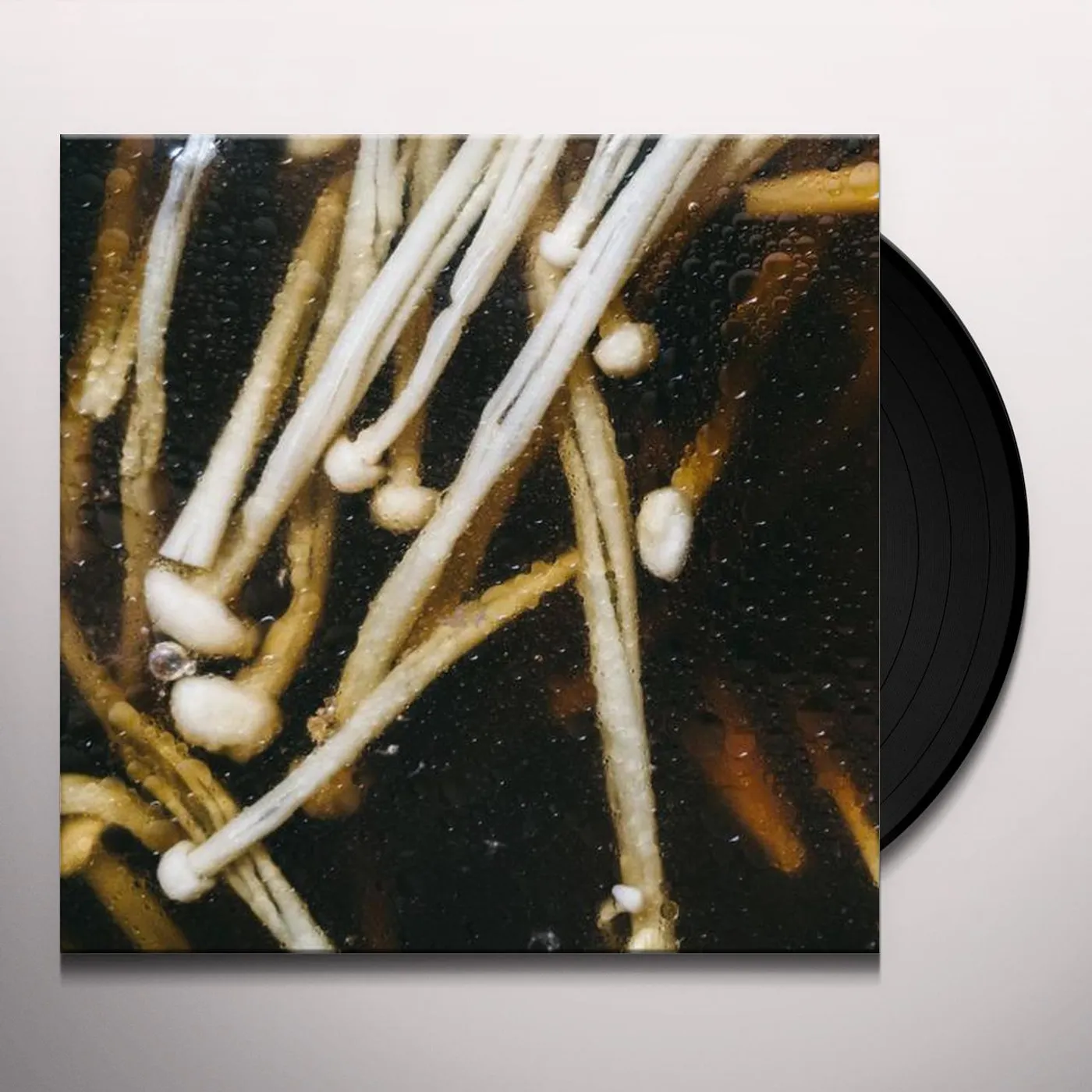 Matthias Lindermayr Triptych Vinyl Record