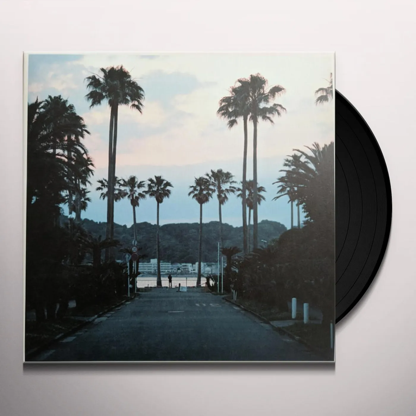 Submerse Are You Anywhere Vinyl Record