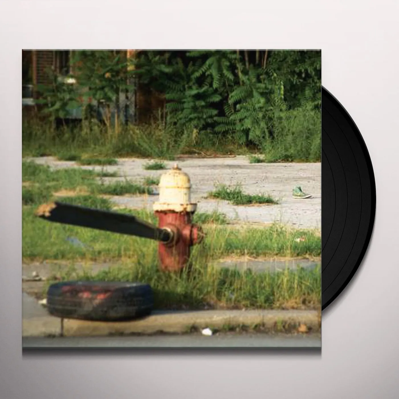 Akron/Family Everyone Is Guilty Vinyl Record