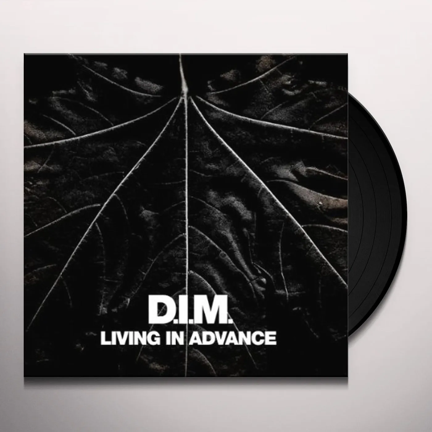 DIM Living In Advance Vinyl Record