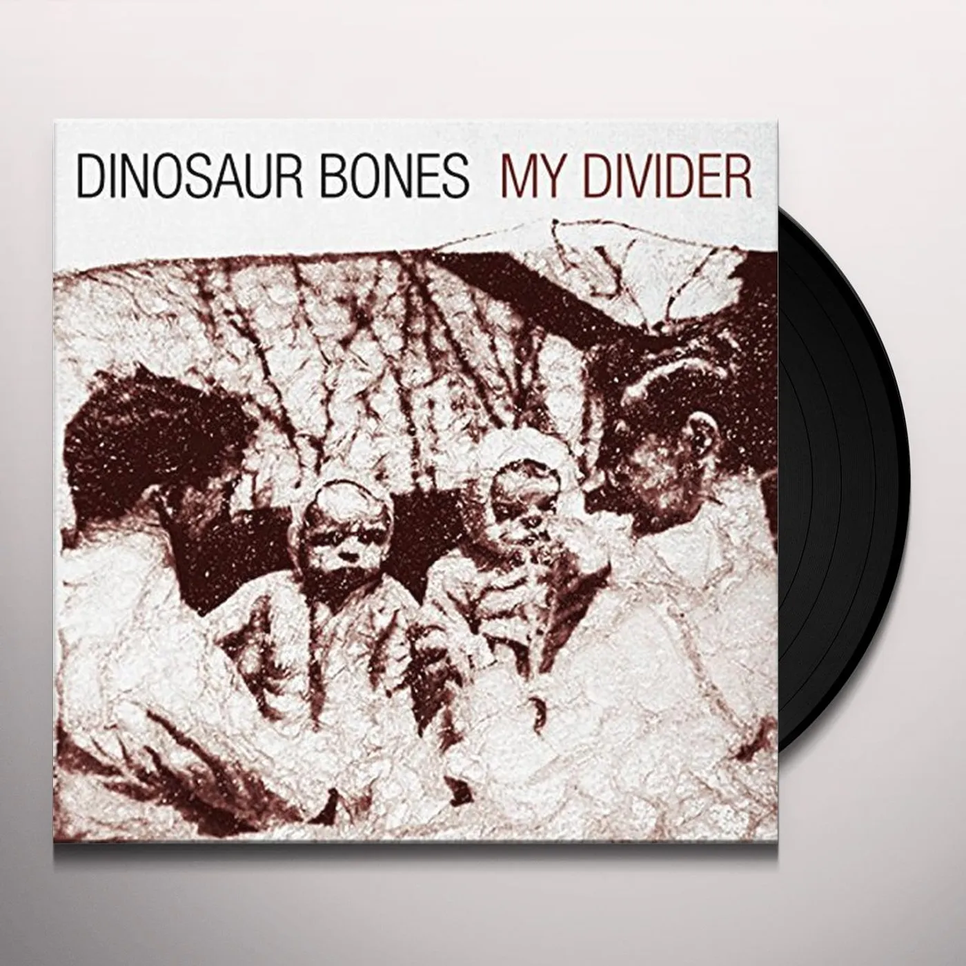 Dinosaur Bones My Divider Vinyl Record