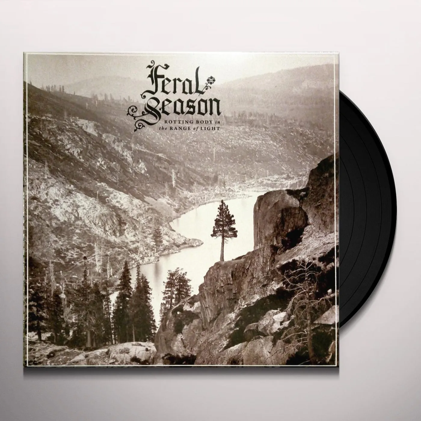 Feral Season Rotting Body In The Range Of Light Vinyl Record