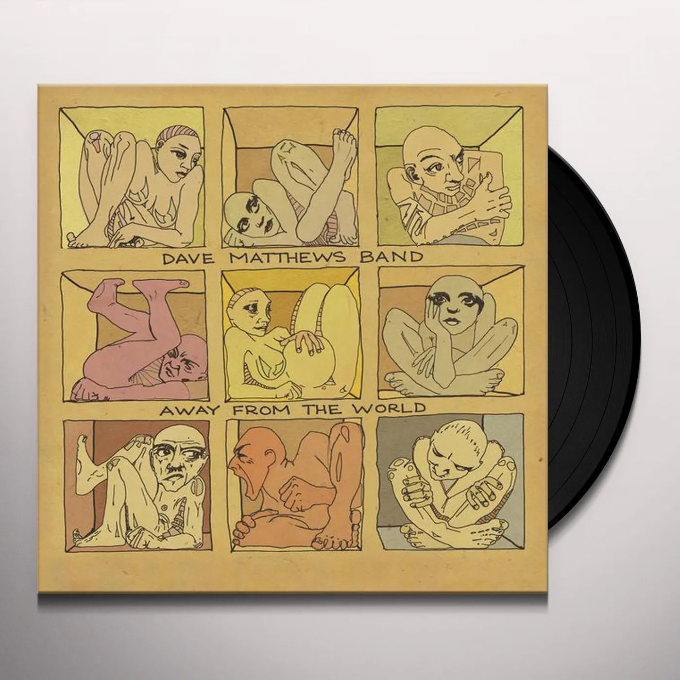 Dave Matthews Band Away From The World Vinyl Record