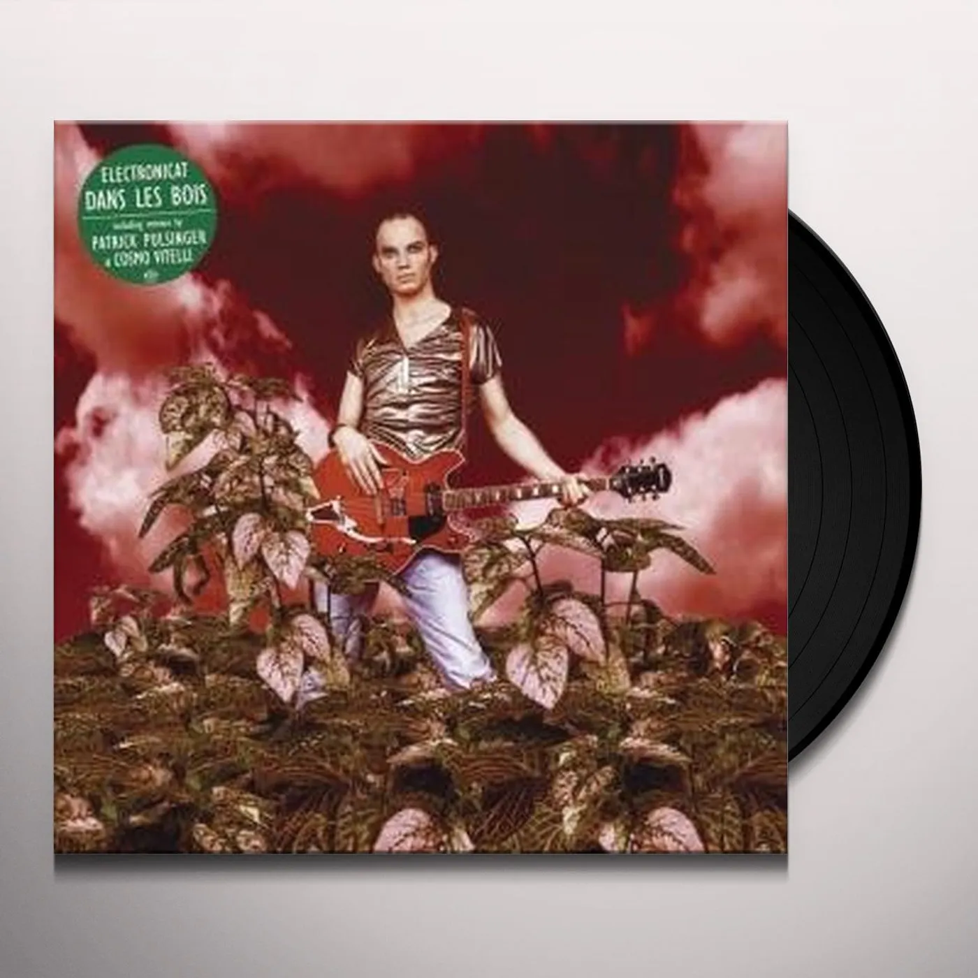 Electronicat DANS LES BOIS Vinyl Record