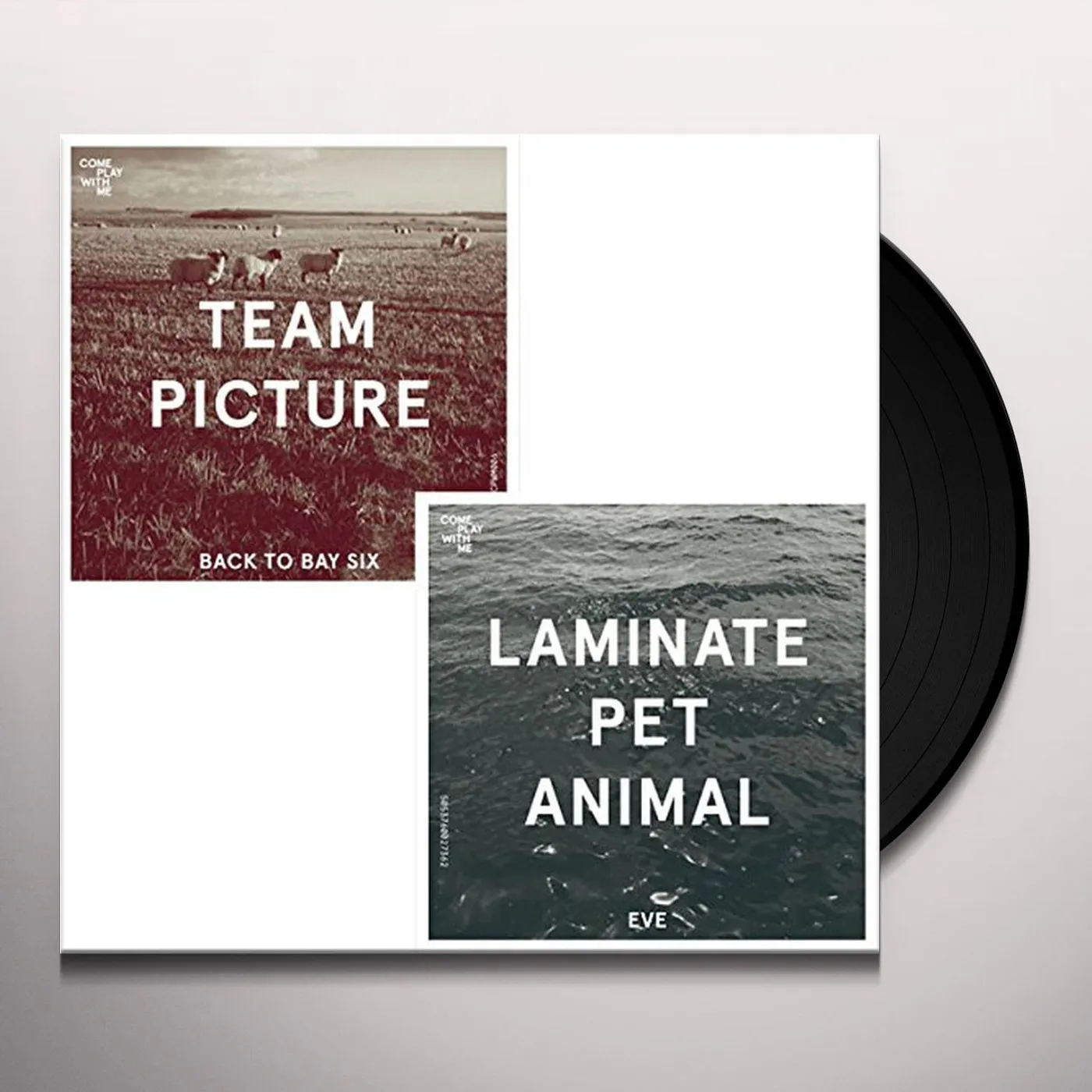 Team Picture / Laminate Pet Animal BACK TO BAY SIX / EVE Vinyl Record