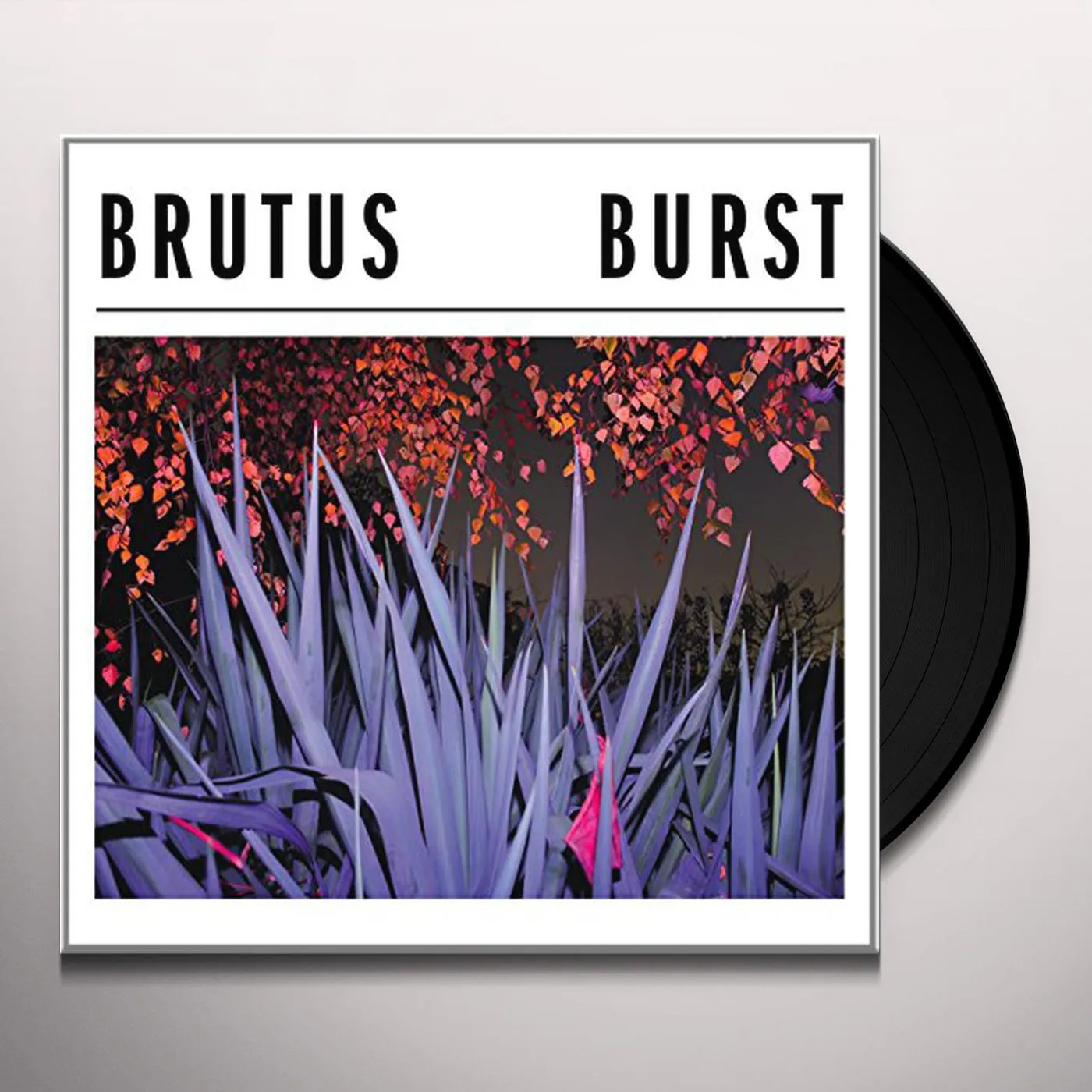 Brutus Burst Vinyl Record