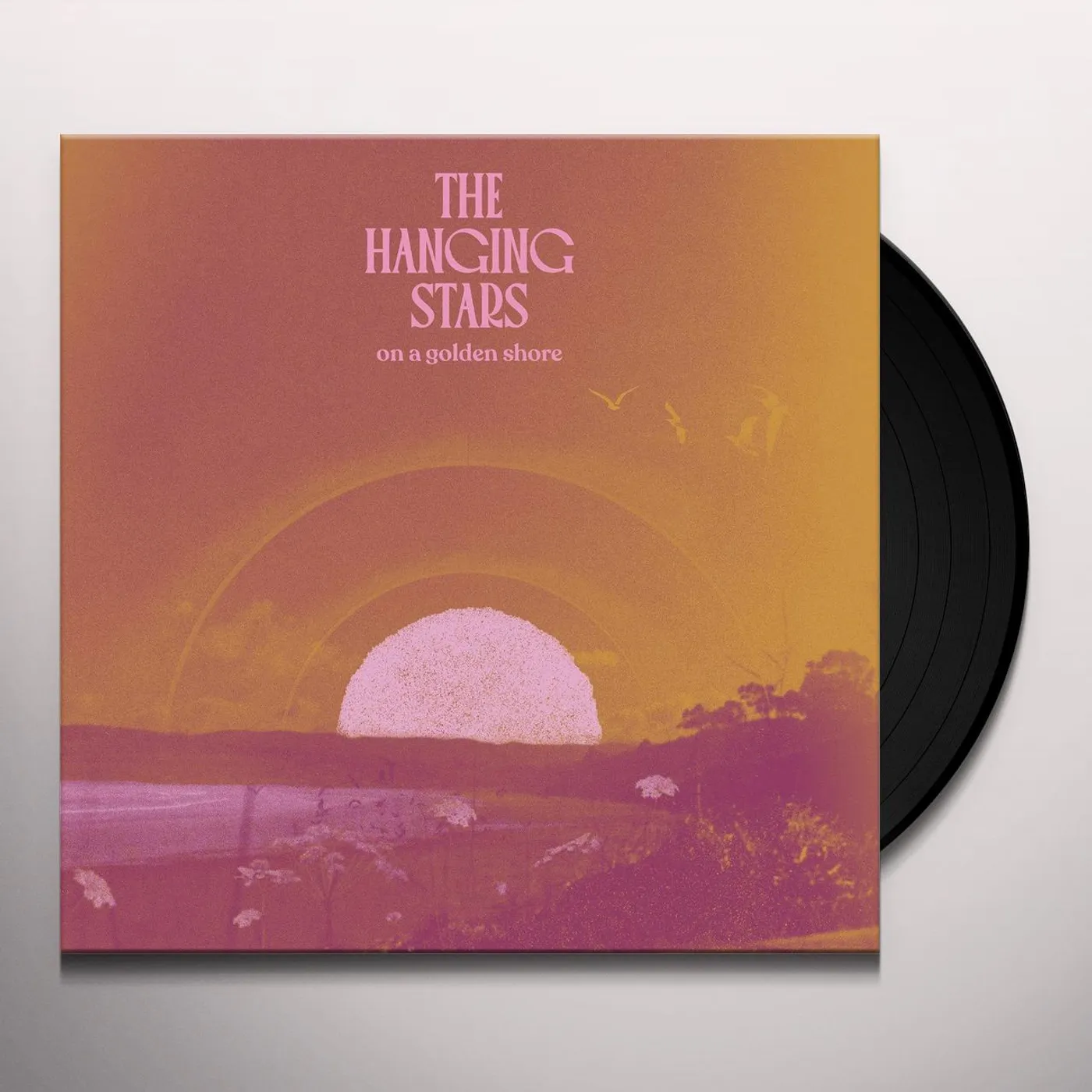 The Hanging Stars On A Golden Shore Vinyl Record