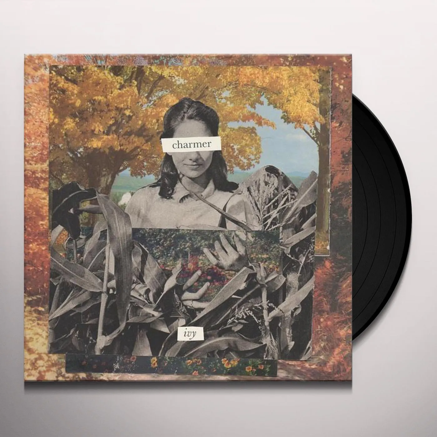Charmer ivy Vinyl Record