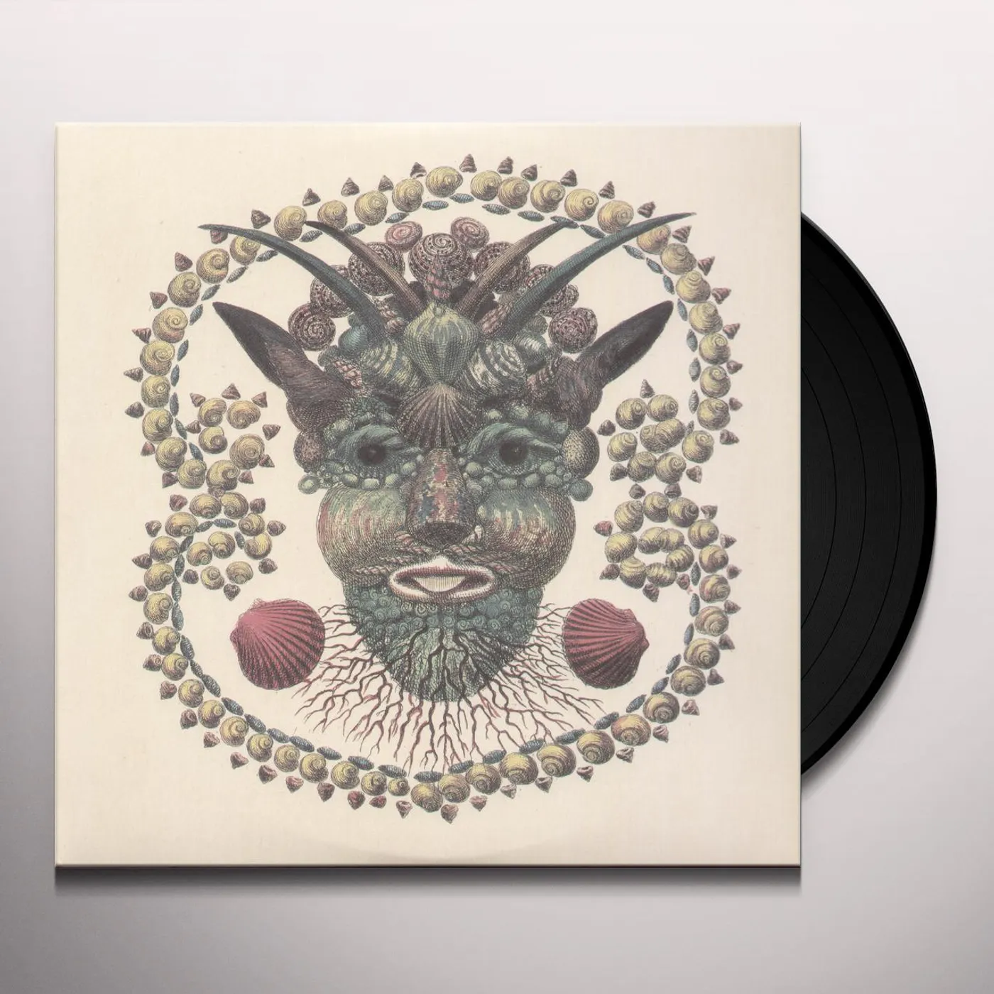 Akron/Family Vinyl Record