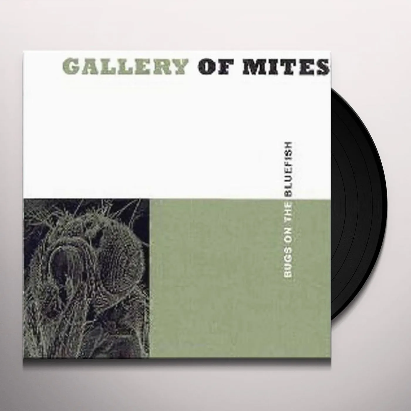 Gallery of Mites BUGS ON THE BLUEFISH Vinyl Record