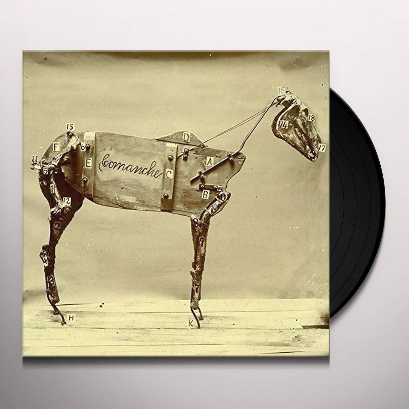 Chadwick Stokes Horse Comanche Vinyl Record