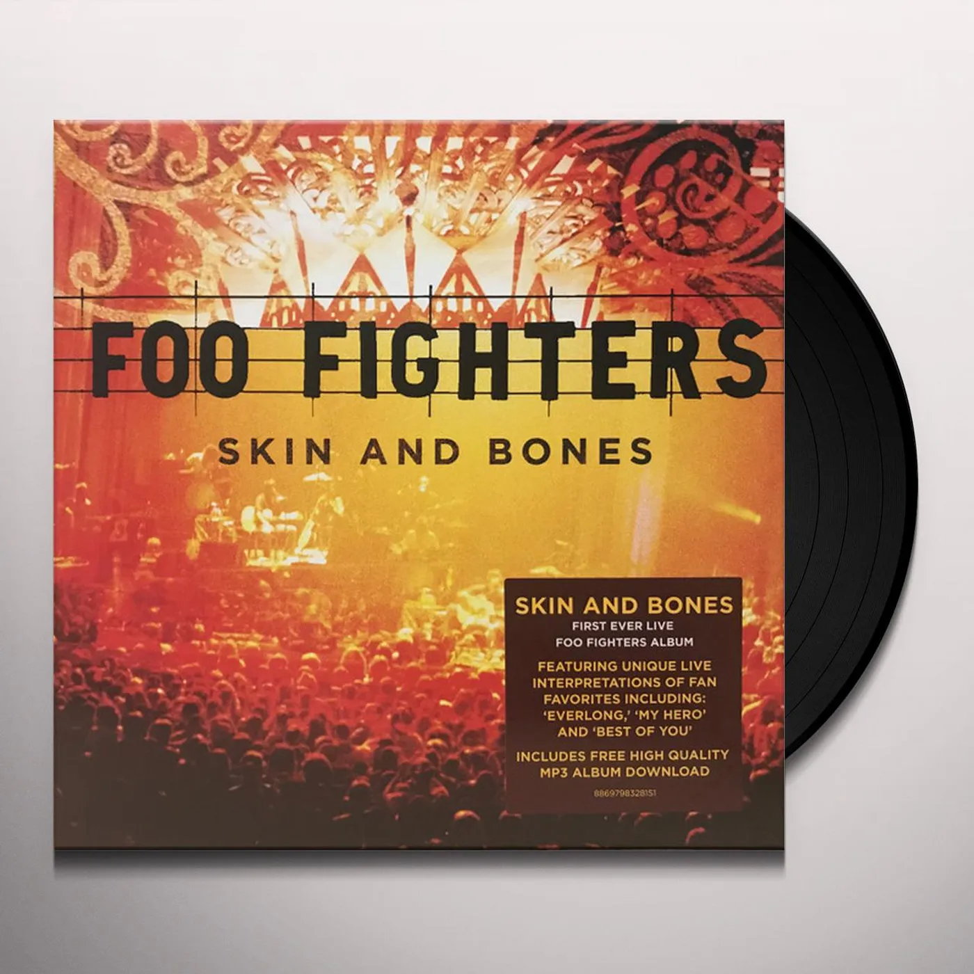 Foo Fighters Vinyl Record