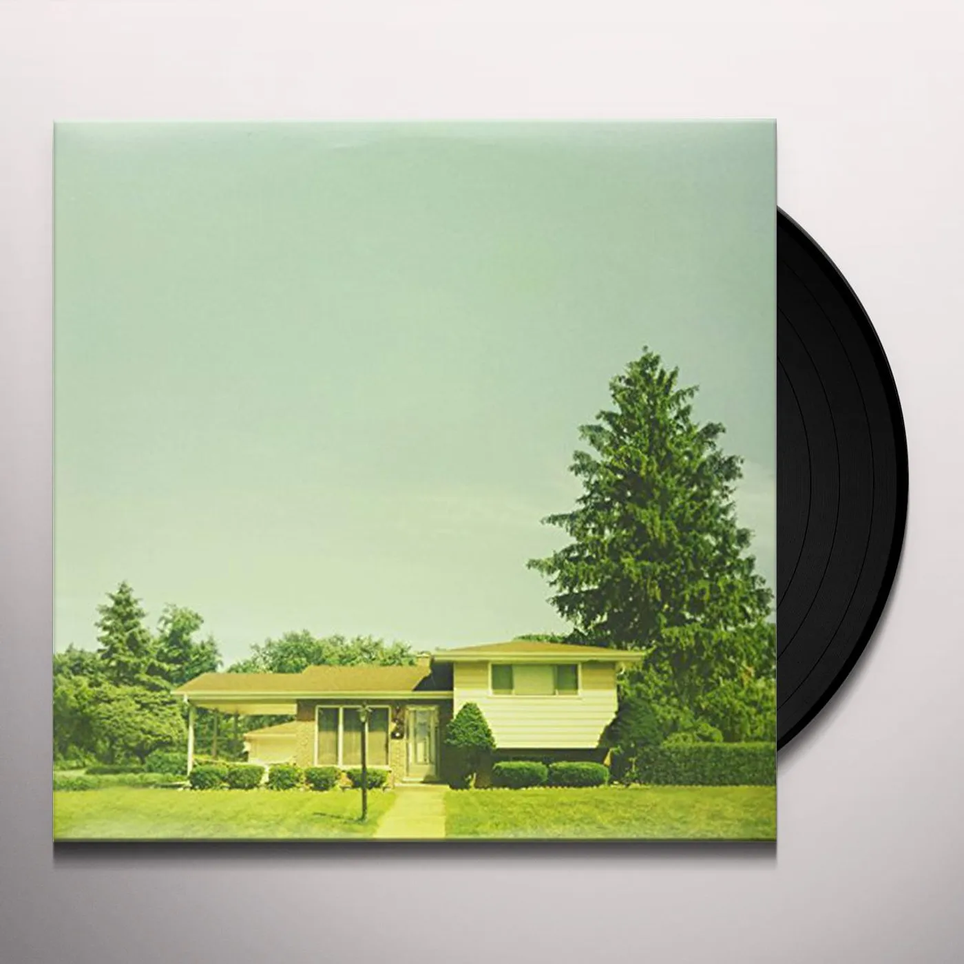 The Orwells Disgraceland Vinyl Record