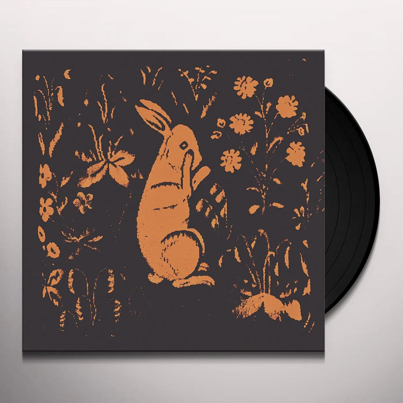 Sadness Rabbit Album Vinyl Record