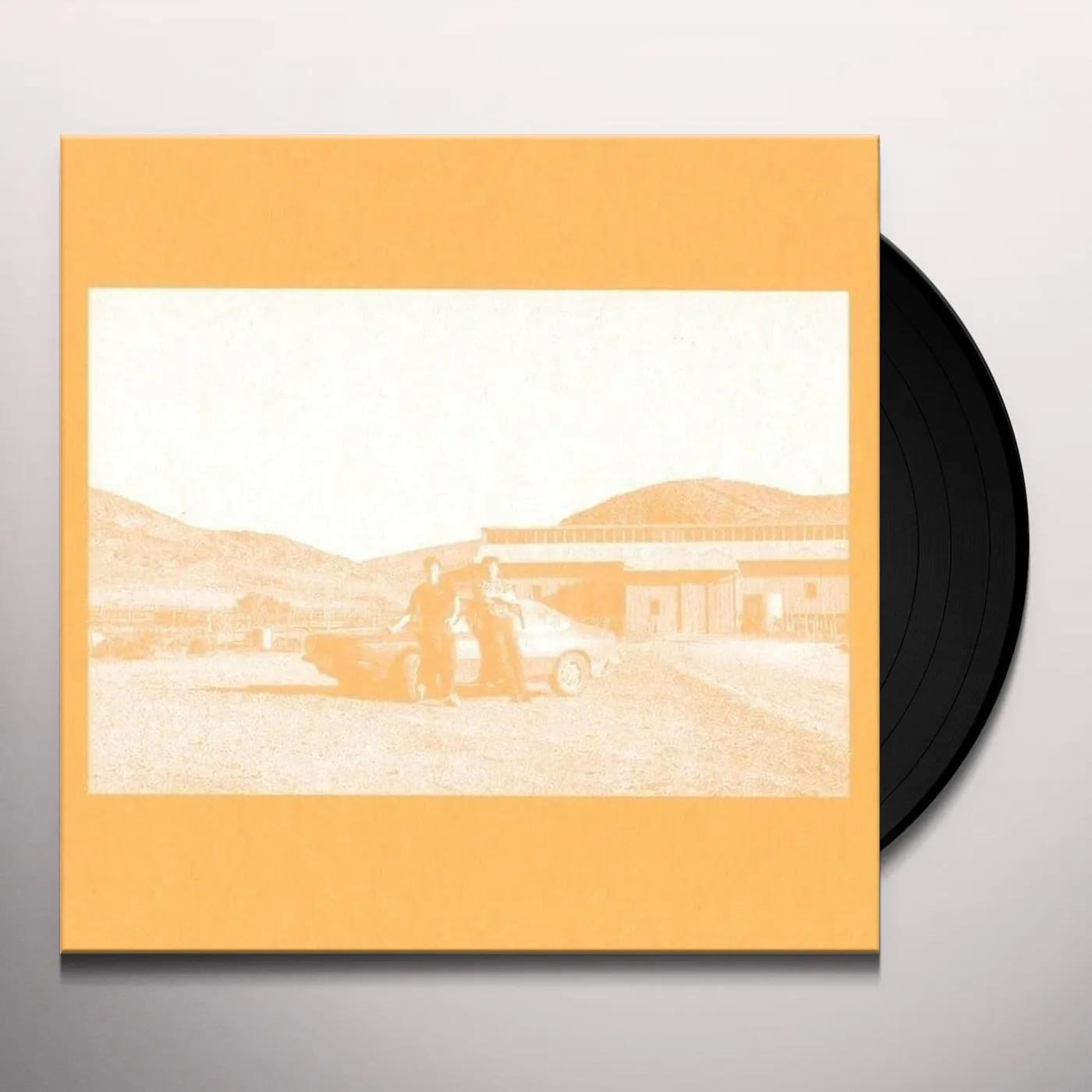The Frenzied Bricks Vinyl Record