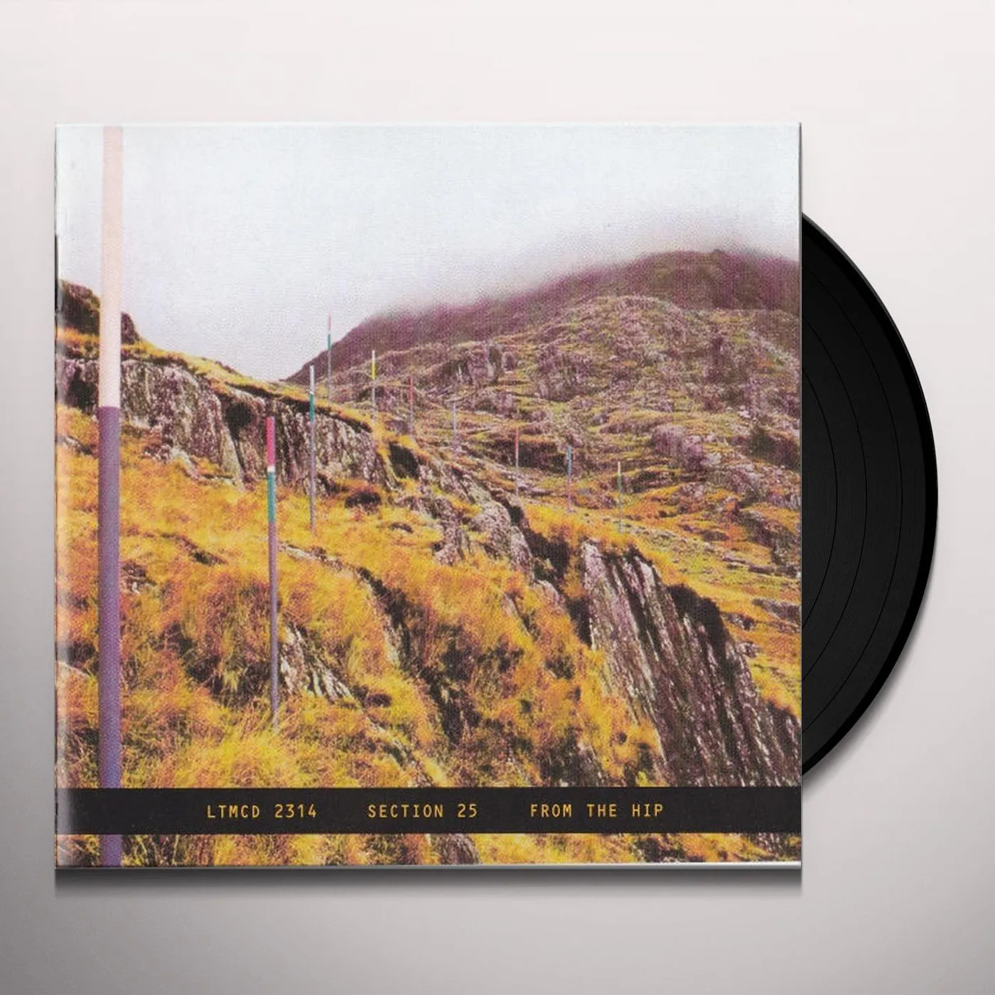 Section 25 From The Hip Vinyl Record