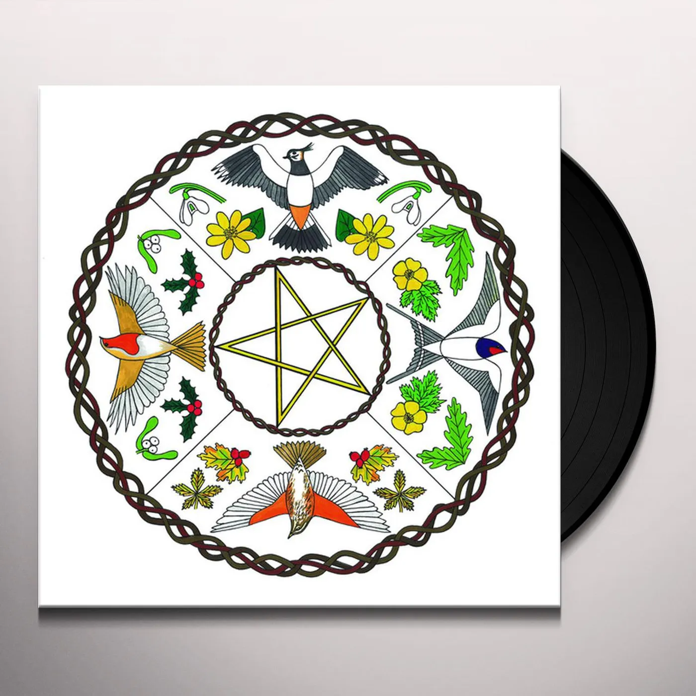 Modern Nature ANNUAL Vinyl Record