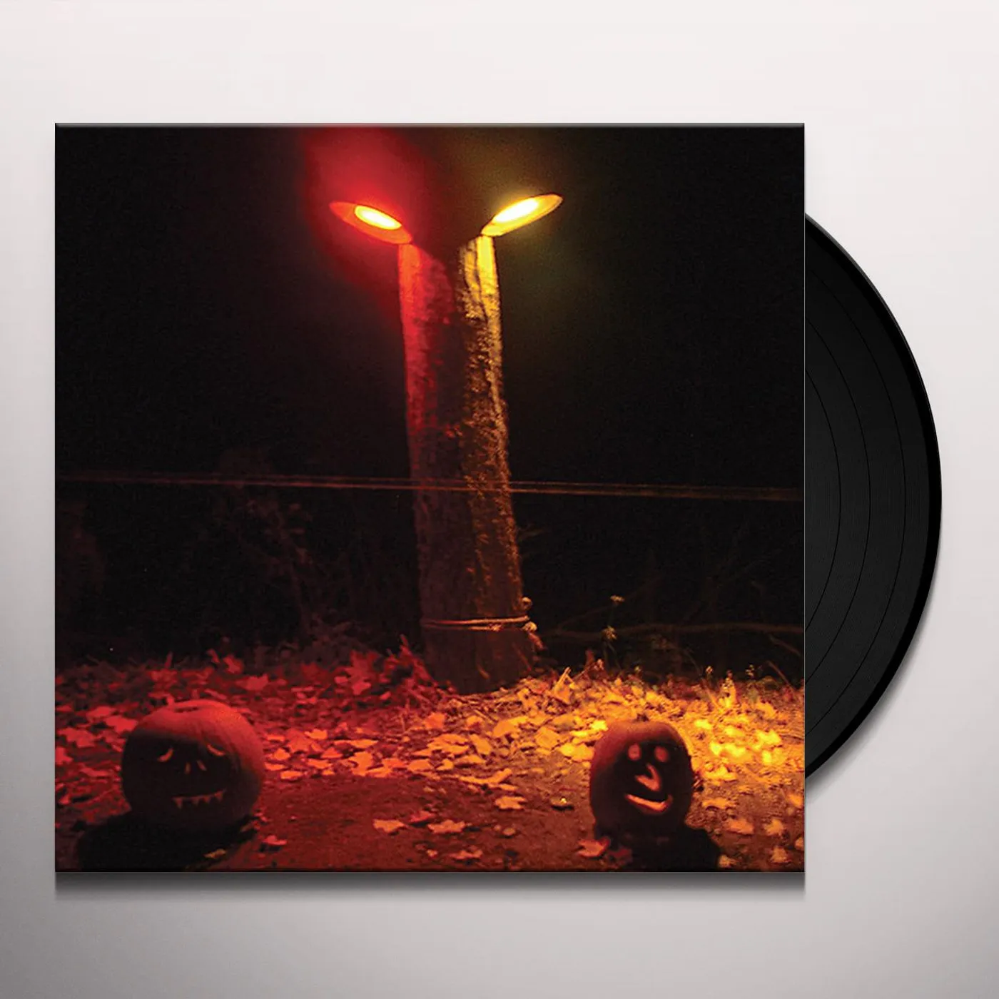 Wicked King Wicker Flydust Vinyl Record