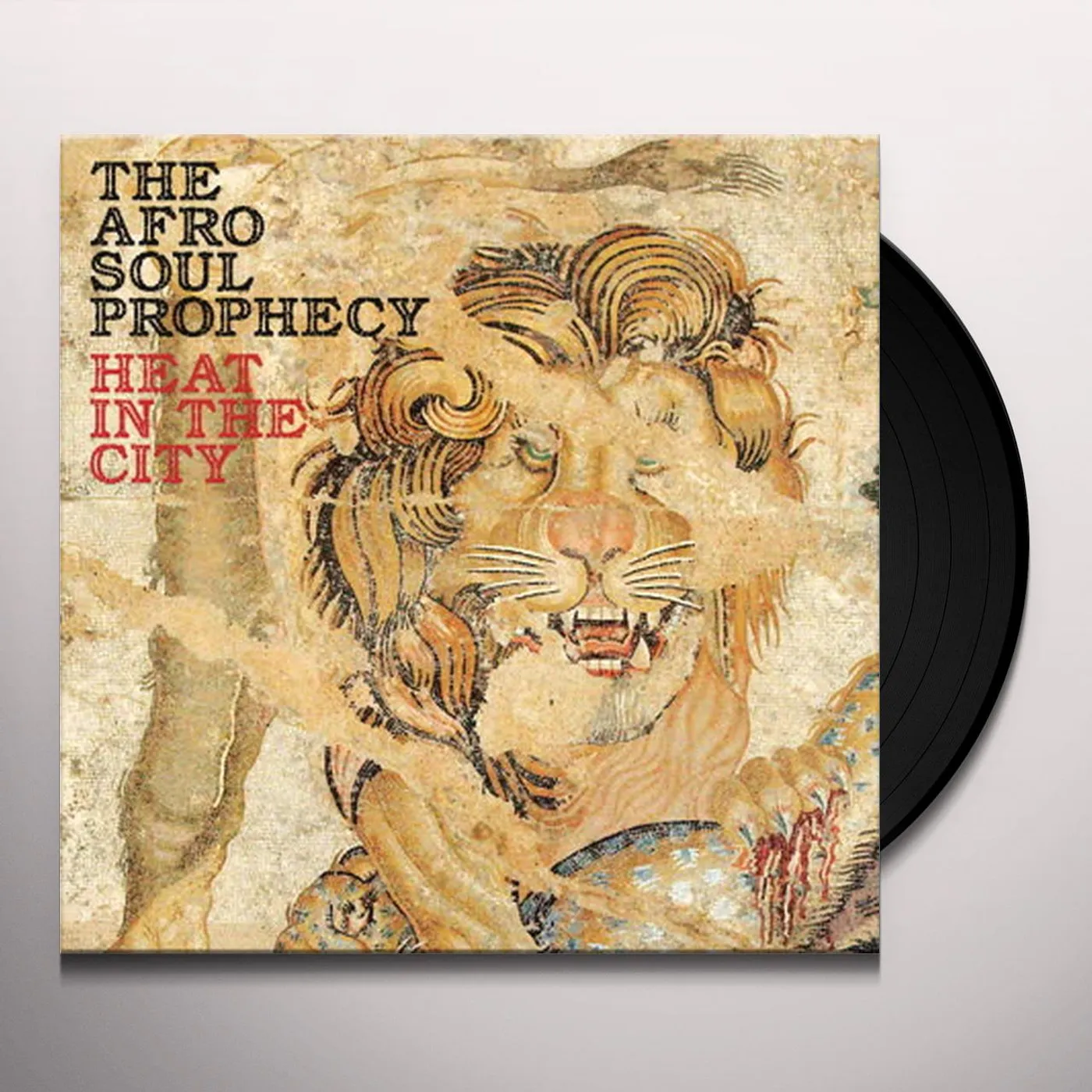Puddu / Afro Soul Prophecy