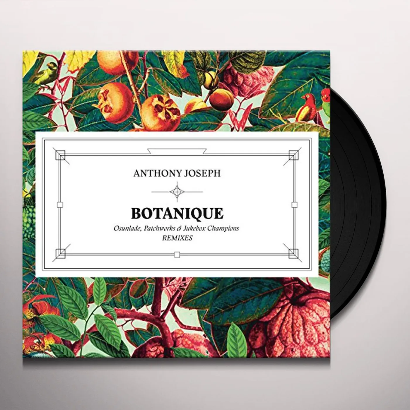 Anthony Joseph BOTANIQUE (OSUNLADE REMIX) Vinyl Record