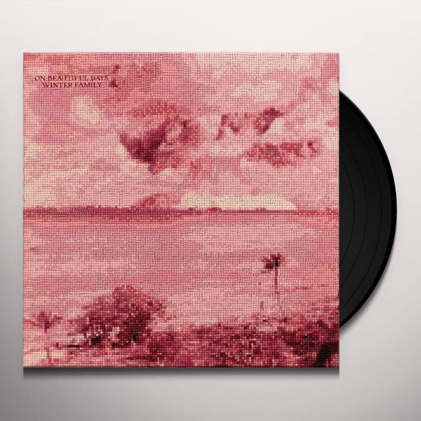 Winter Family On Beautiful Days Vinyl Record