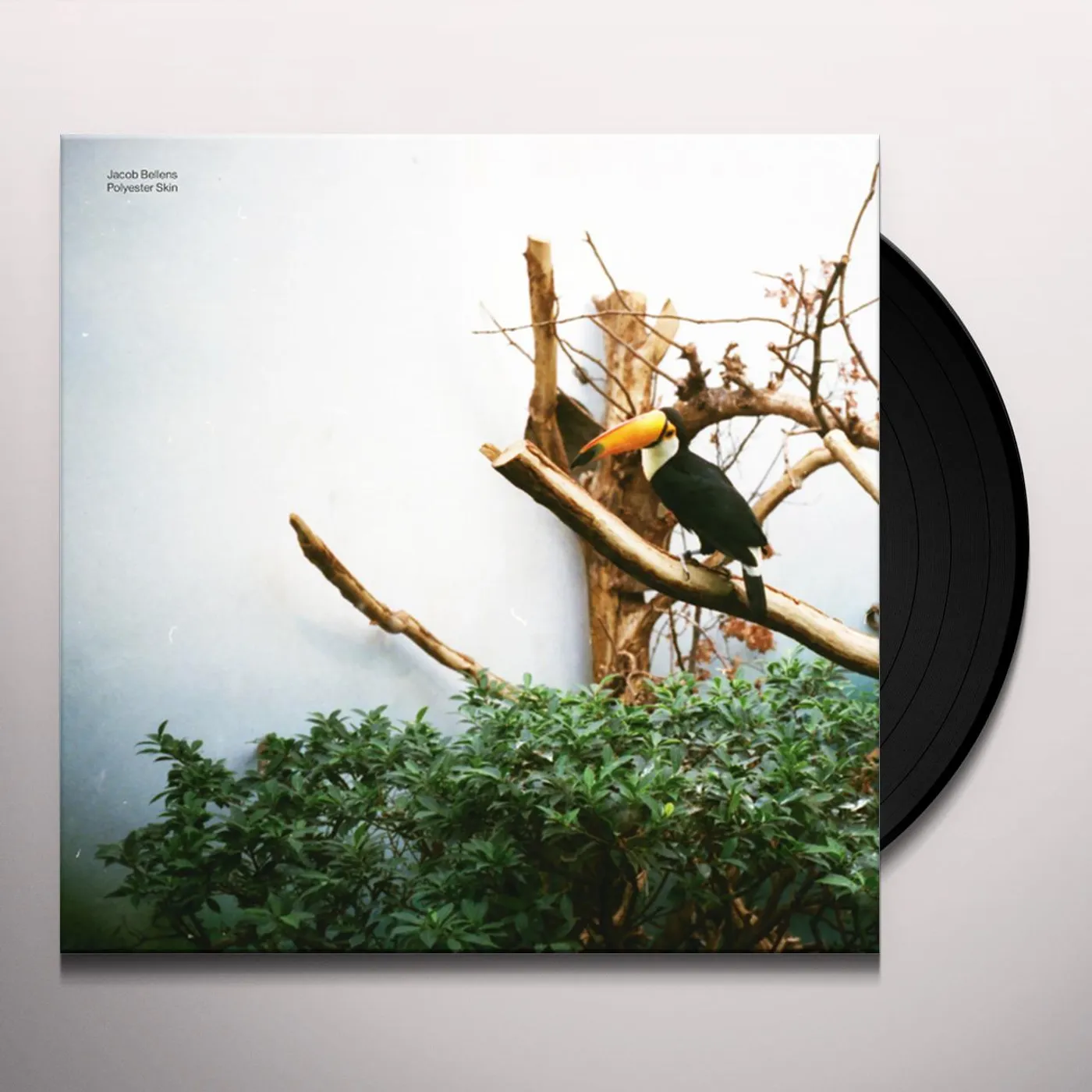 Jacob Bellens Polyester Skin Vinyl Record