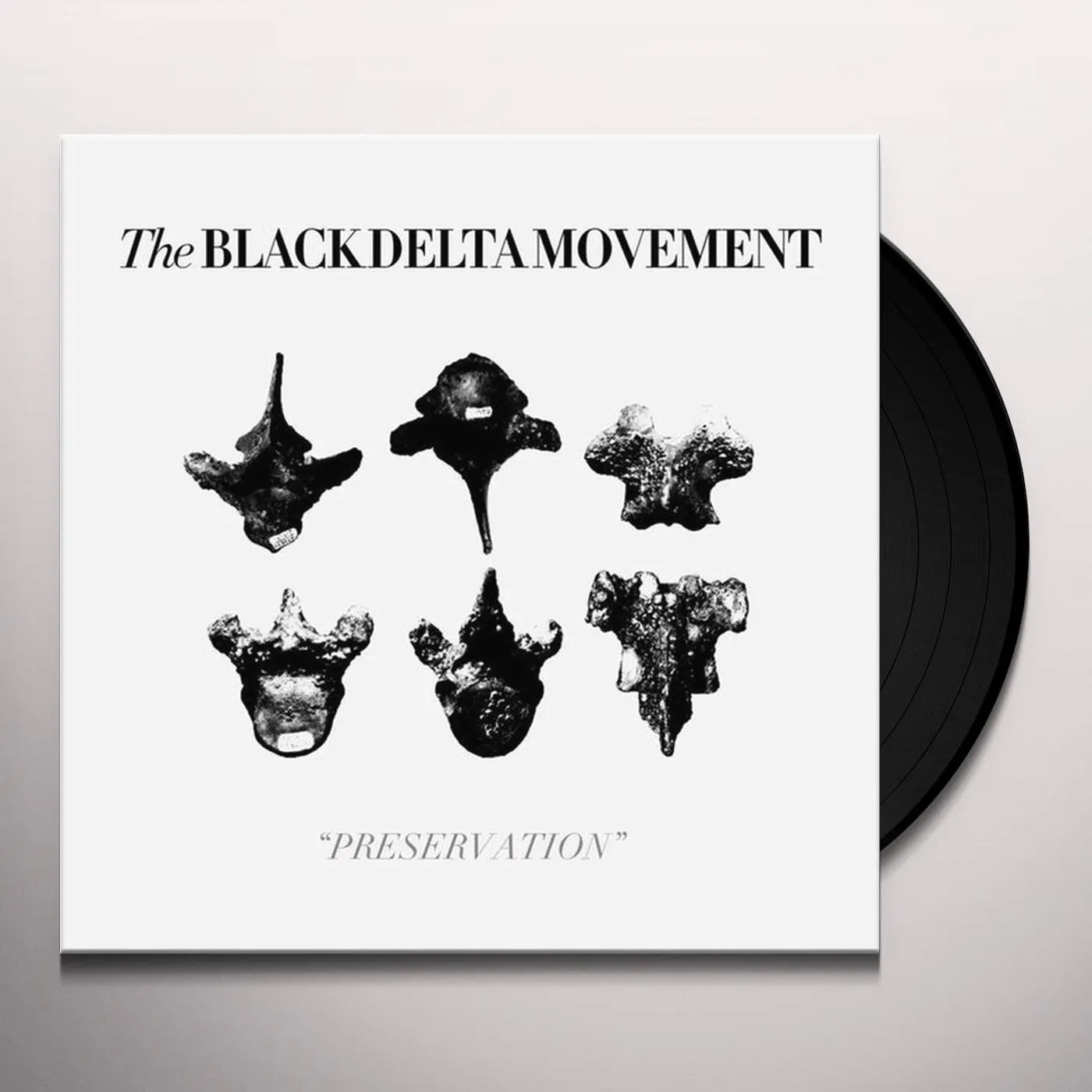 The Black Delta Movement Preservation Vinyl Record