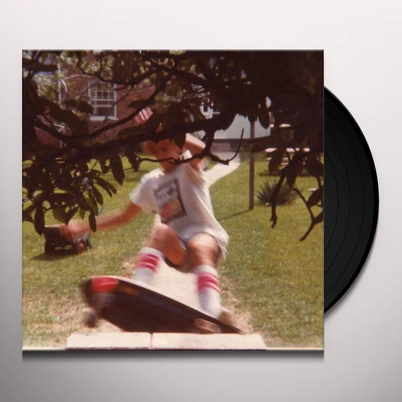 Wavves Wavvves Vinyl Record