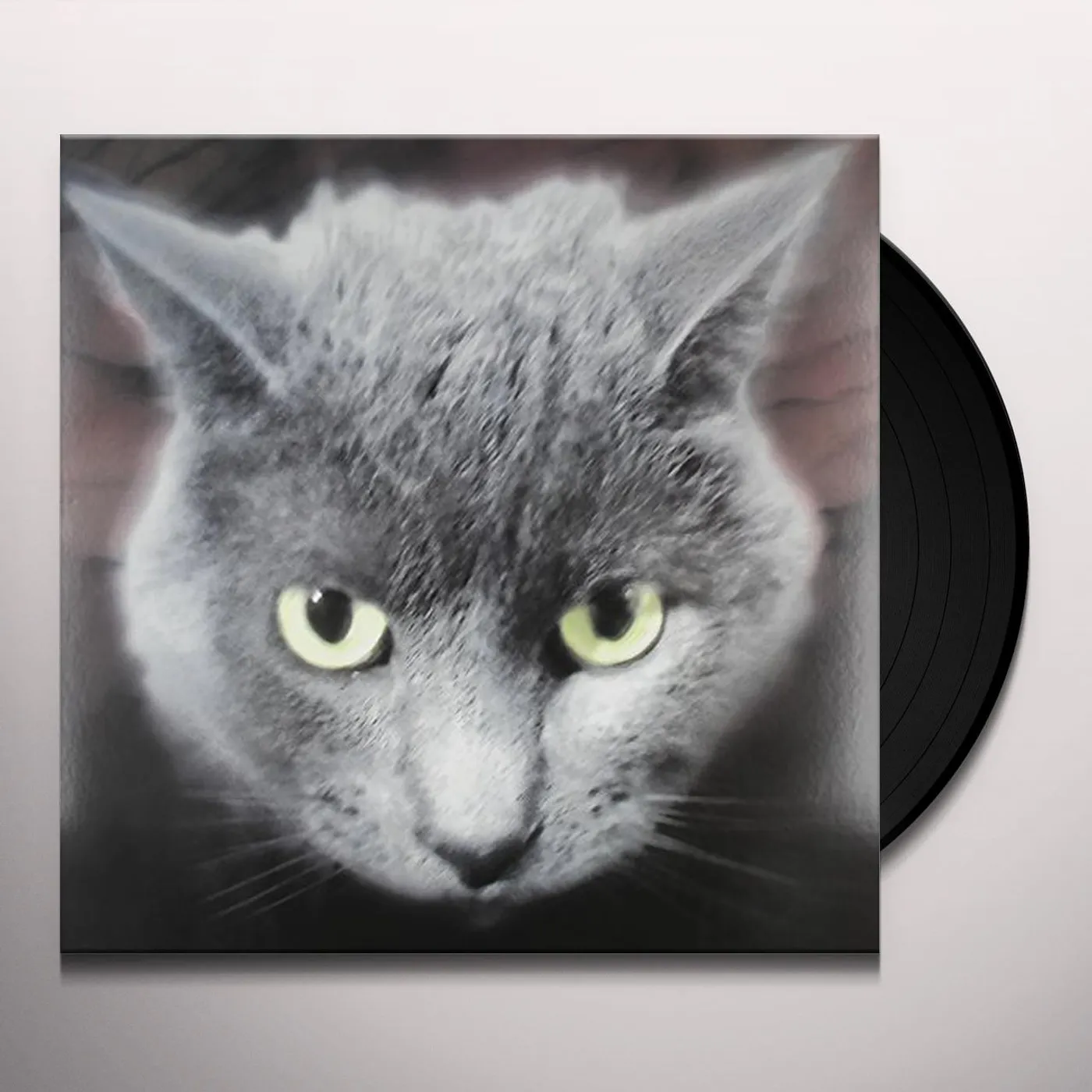 Bastards of Fate WHO'S A FUZZY BUDDY Vinyl Record
