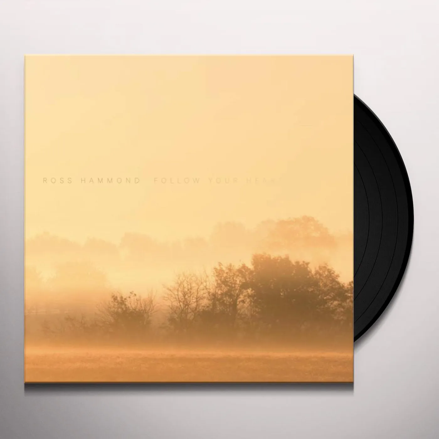 Ross Hammond Follow Your Heart Vinyl Record