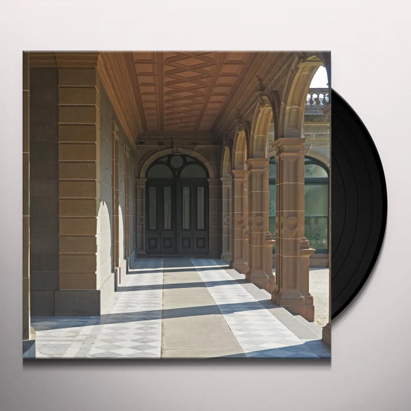 Ducks Ltd. Modern Fiction Vinyl Record