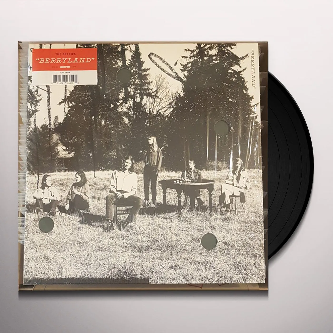 The Berries Berryland Vinyl Record