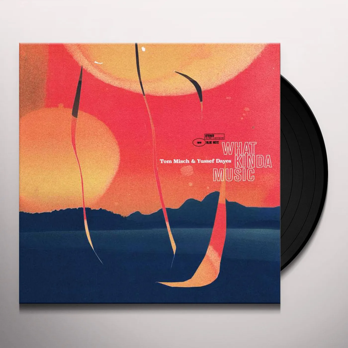 Tom Misch What Kinda Music Vinyl Record