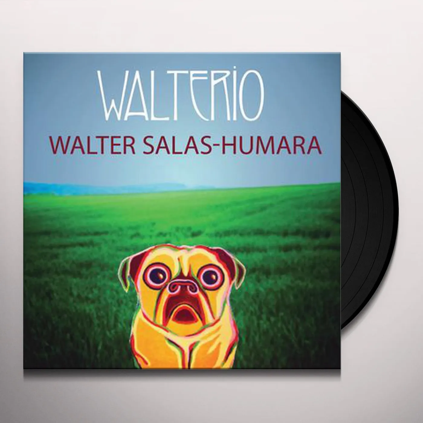 Walter Salas-Humara
