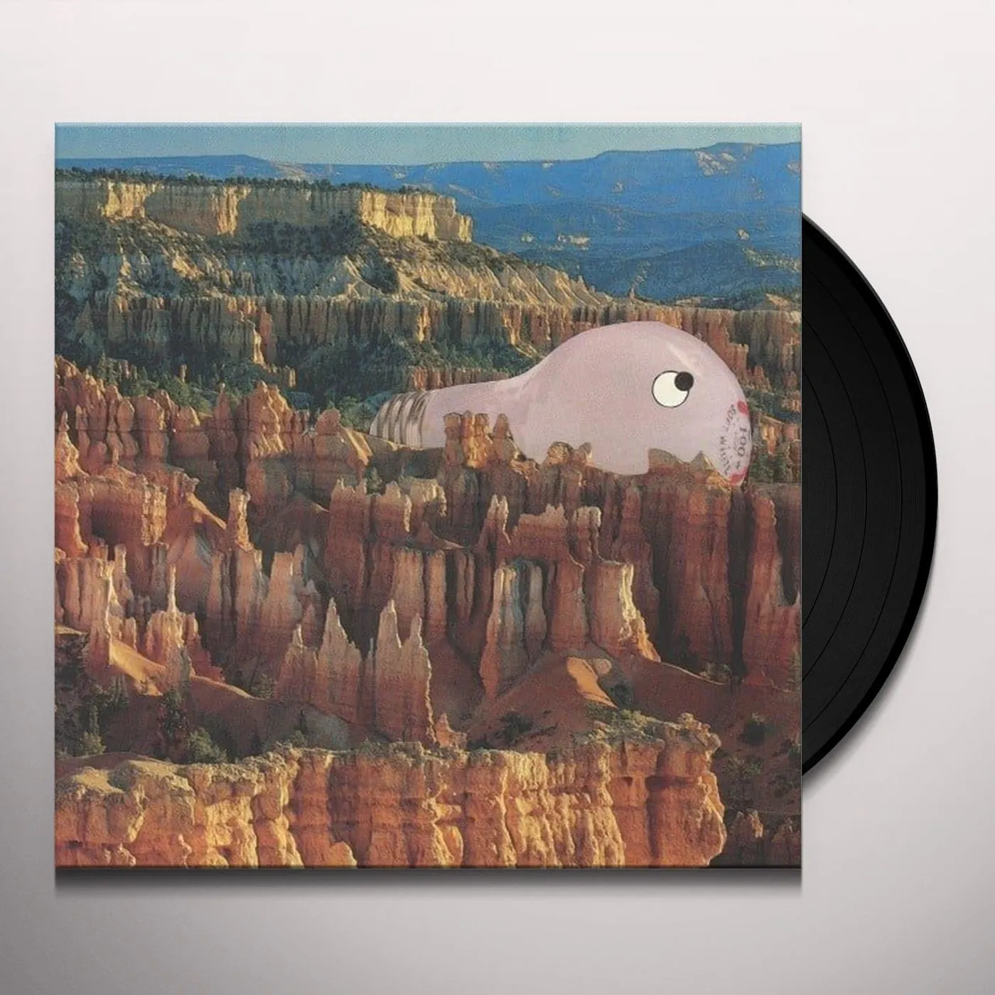 Sana Shenai Warm Former Vinyl Record
