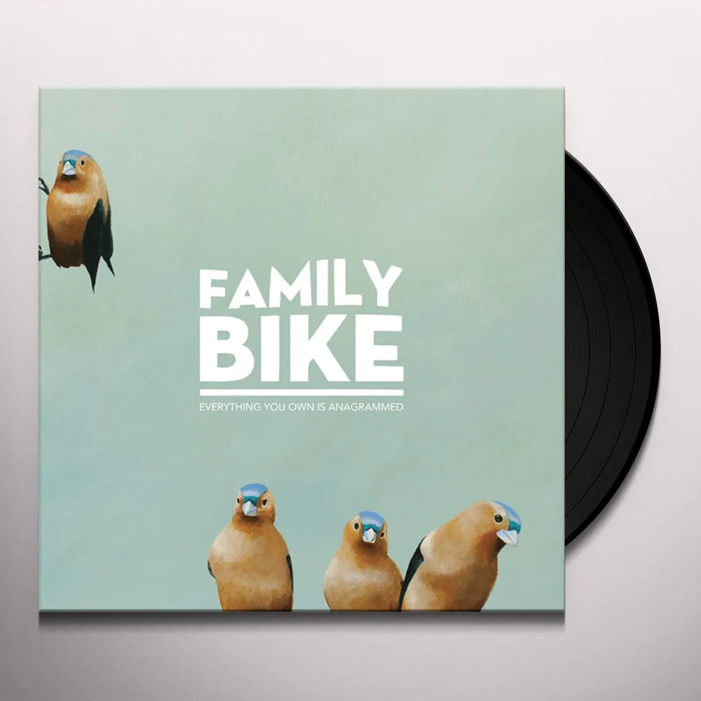 Family Bike Everything You Own Is Anagrammed Vinyl Record