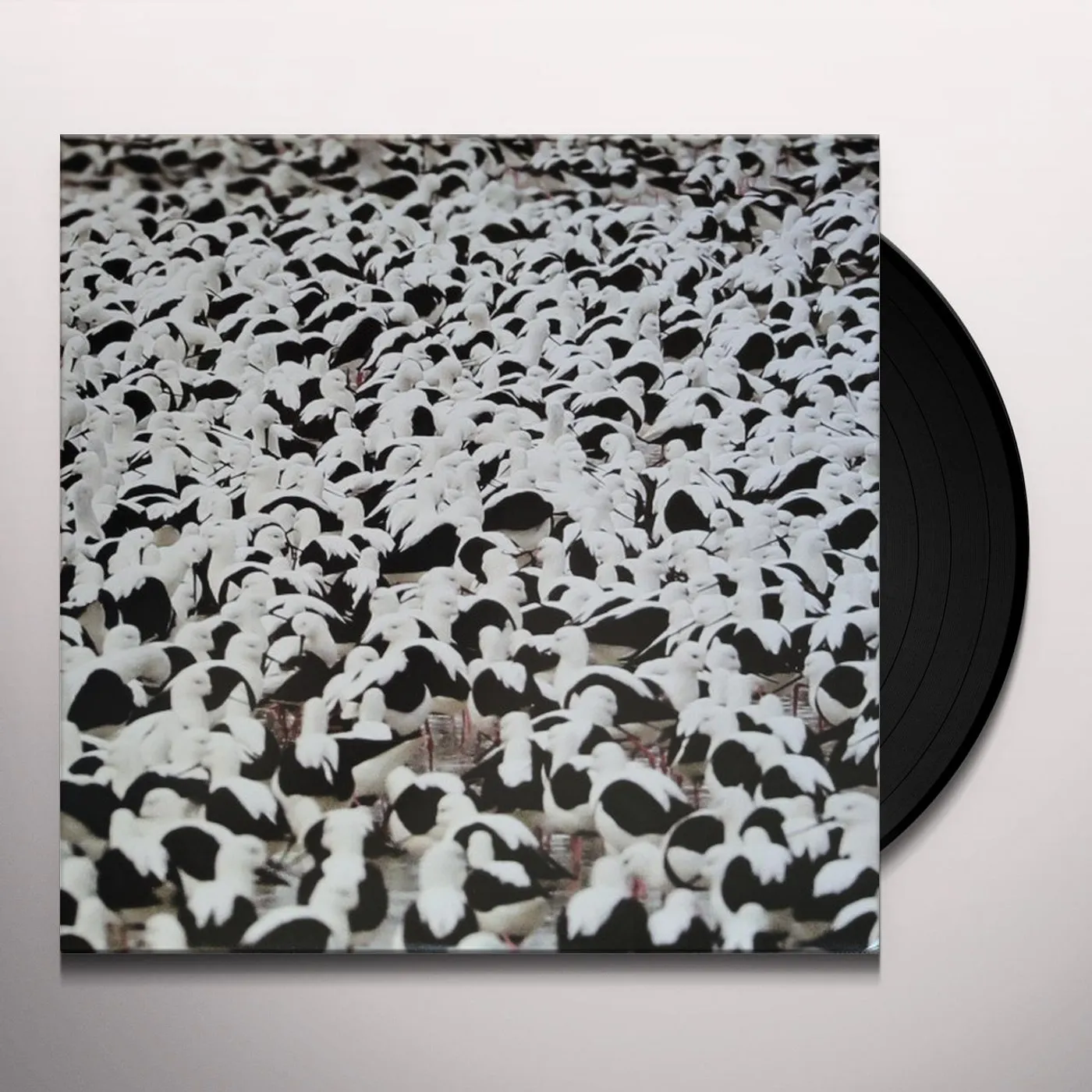 Stella Donnelly Flood Vinyl Record