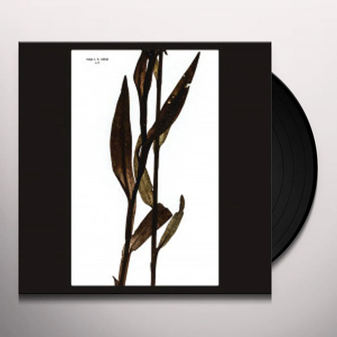 Maja S.K. Ratkje SULT Vinyl Record