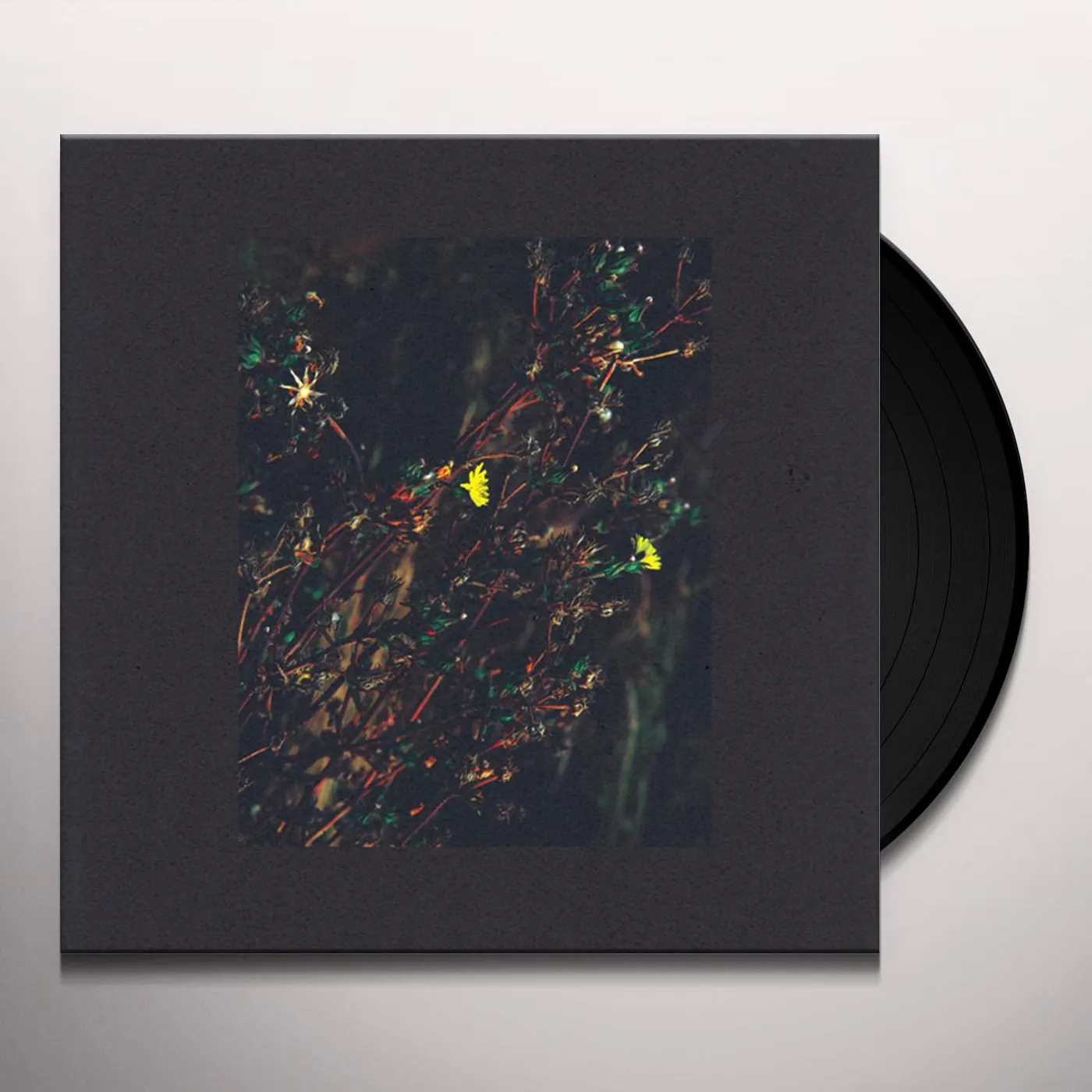 Dark Sky PASSENGER / WALKER (ROMAN FLUGEL REMIX) Vinyl Record