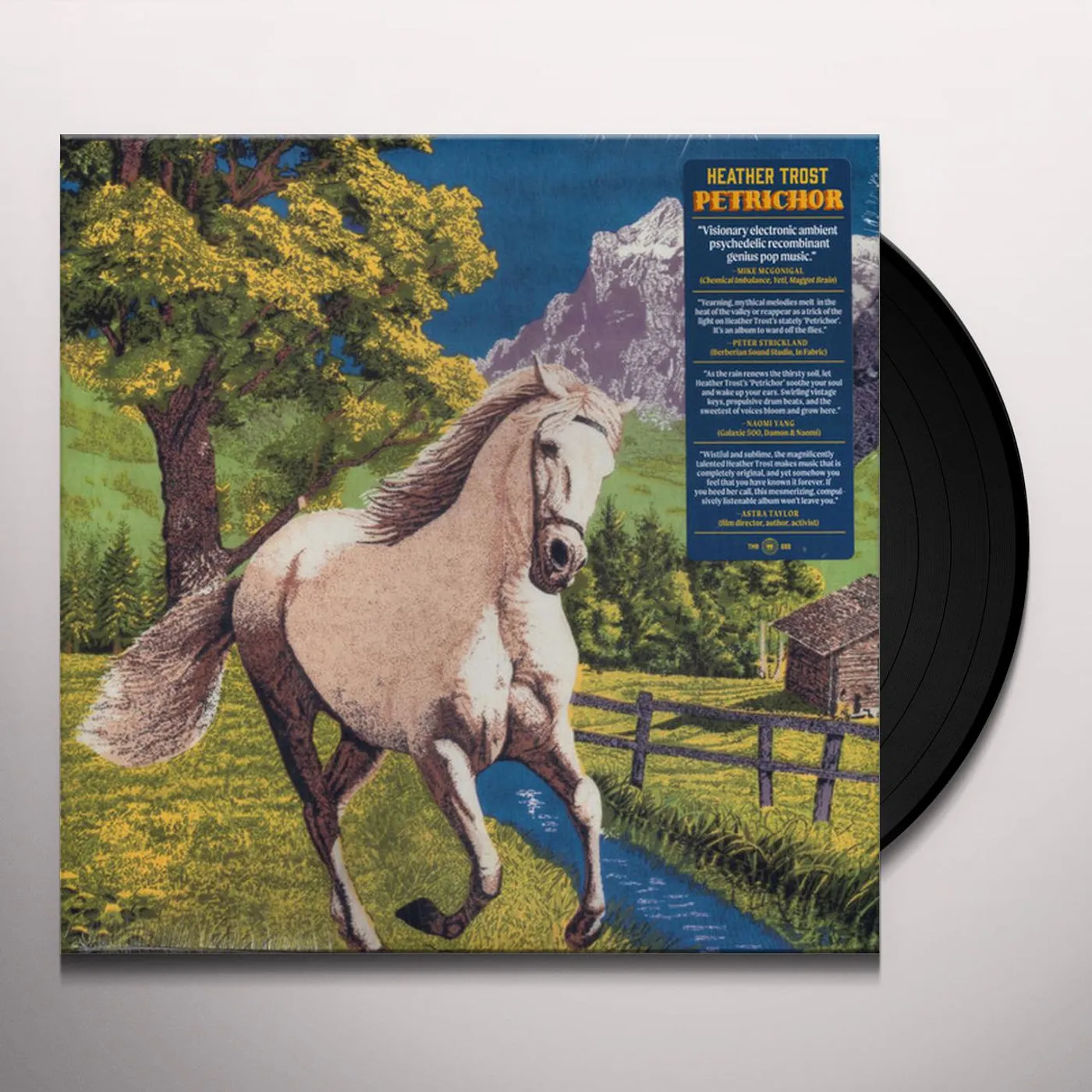 Heather Trost Petrichor Vinyl Record