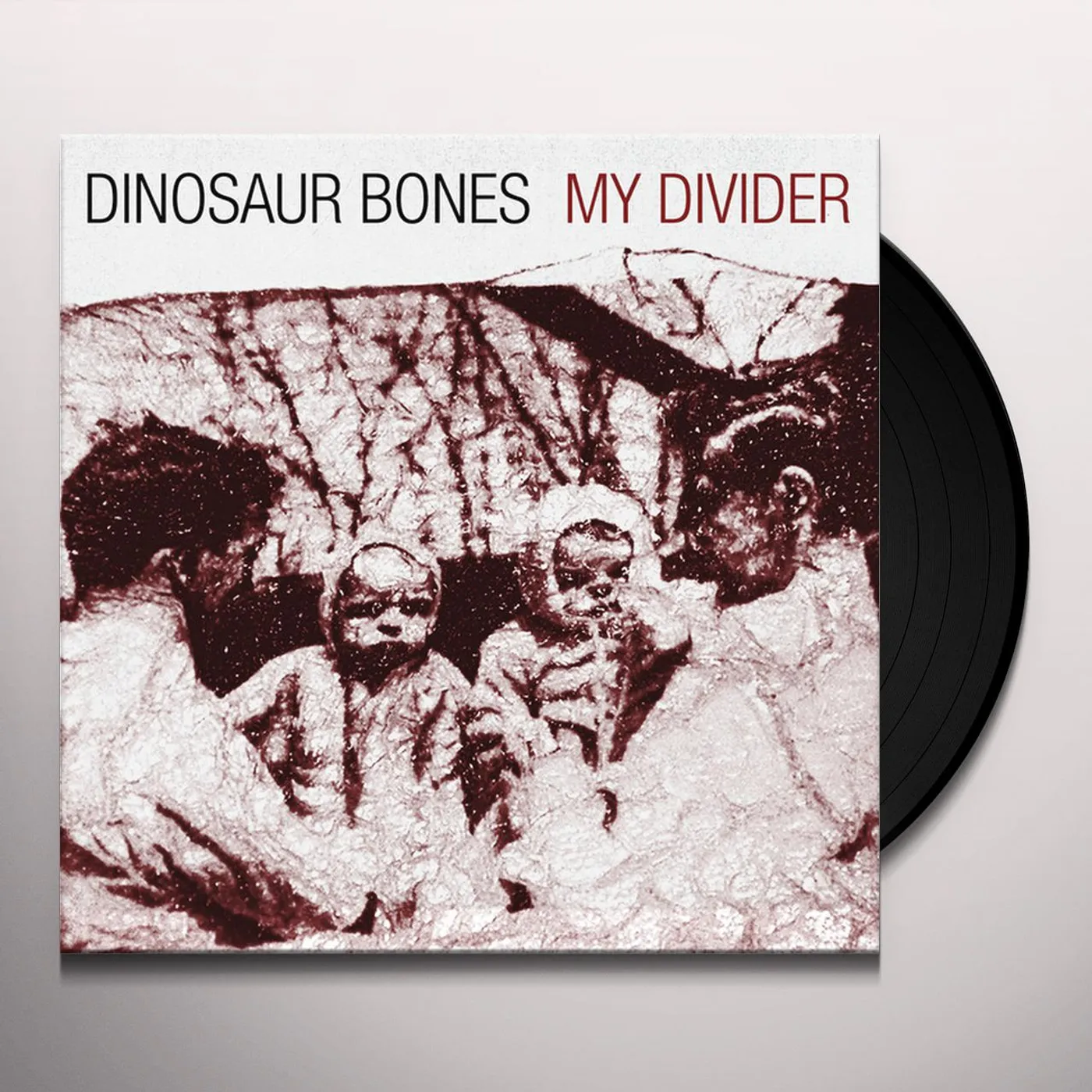Dinosaur Bones MY DIVIDER (LP) Vinyl Record