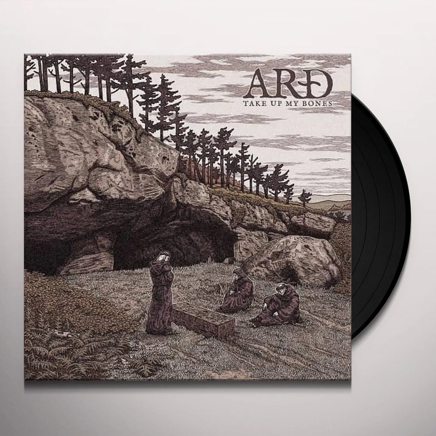 ARD TAKE UP MY BONES Vinyl Record