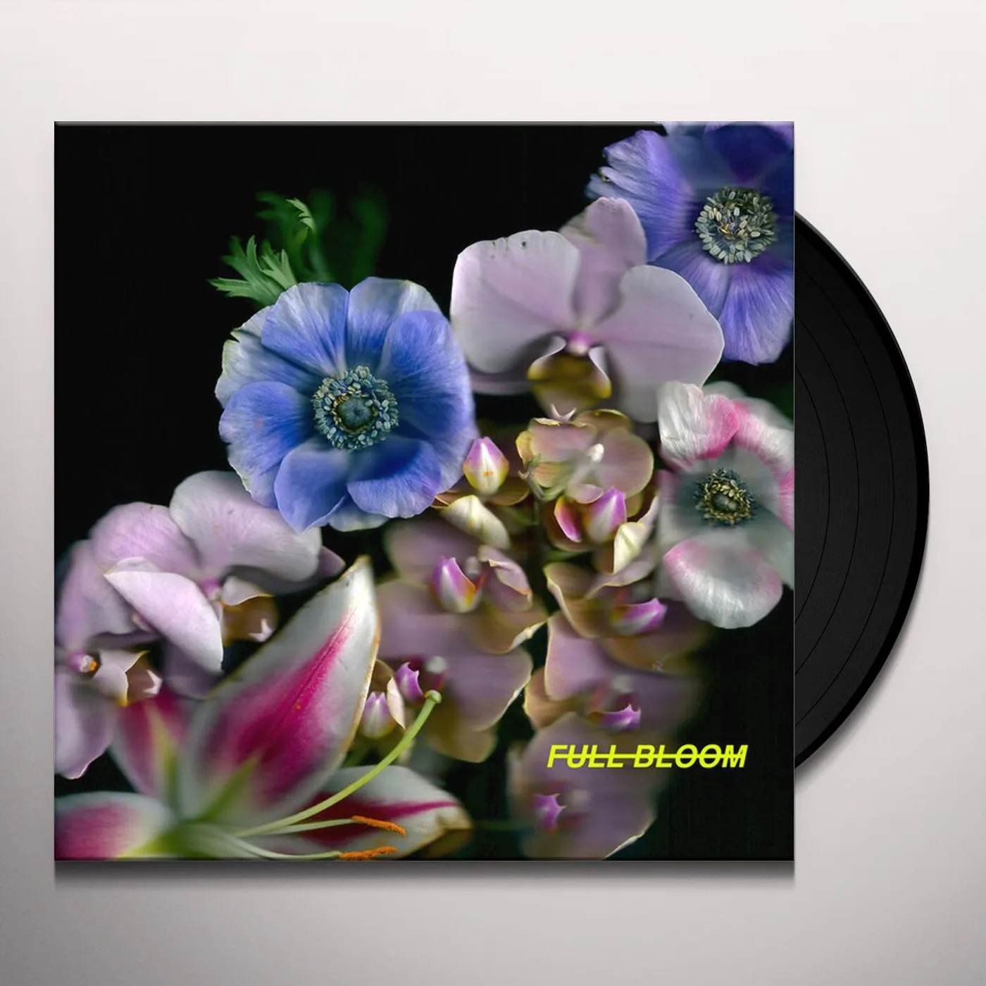 Alpines Full Bloom Vinyl Record