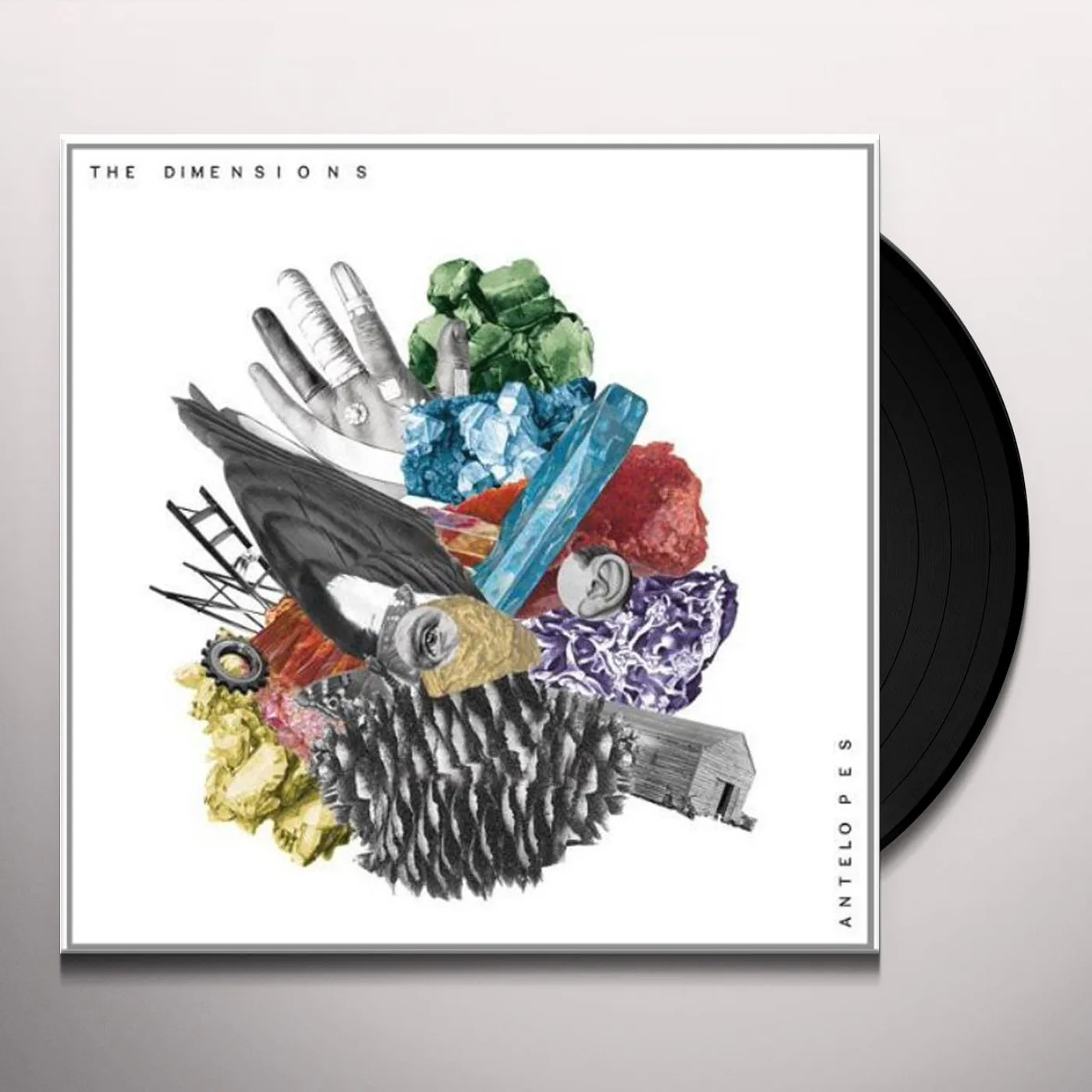 Dimensions ANTELOPE INCL.DOWNLOAD CODE Vinyl Record